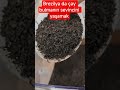 Brezilya da çay bulmanın sevinci #çay