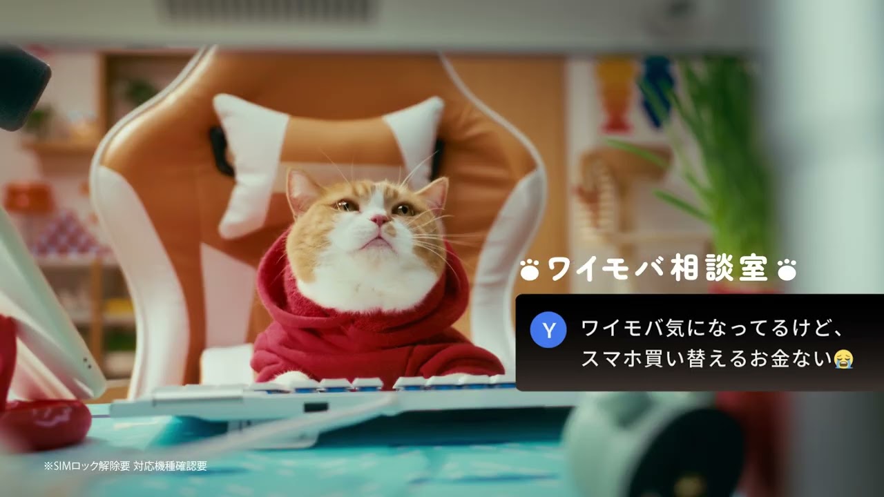 Y!mobile「ワイモバ相談室 スマホそのままでおトク」篇 6秒 - YouTube