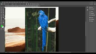 Cute Long Parrot Color Transformation In Photoshop 2020 || PS VIP Tutorials