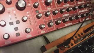 Crave/Neutron/Minilogue/Rotating Clock Divider