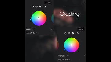 Easy lightroom editing tutorial || editing flower preset || Sphagneticola trilobata
