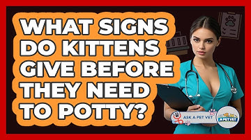 What Signs Do Kittens Give Before They Need To Potty? - Ask A Pet Vet
