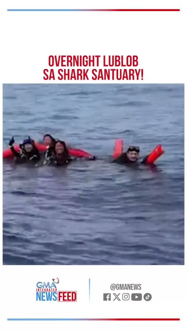 Divers, naiwan ng bangka sa dagat na puno ng pating | GMA Integrated Newsfeed