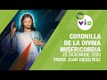 Coronilla de la Divina Misericordia 🎄 25 Diciembre 2020, Padre Juan Diego Ruiz - Tele VID