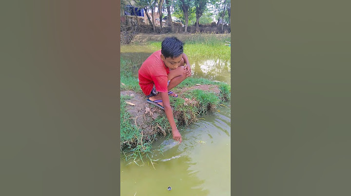 Survival skills: amazing dirty water purification filter #camping #survival #bushcraft