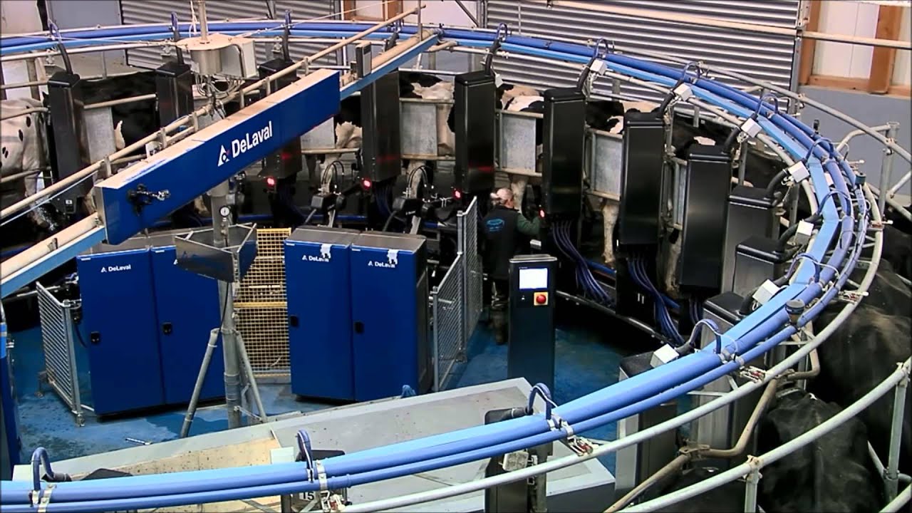 Germany - Automatisches Melkkarussell DeLaval AMR™ - Praxiseinsatz Laproma