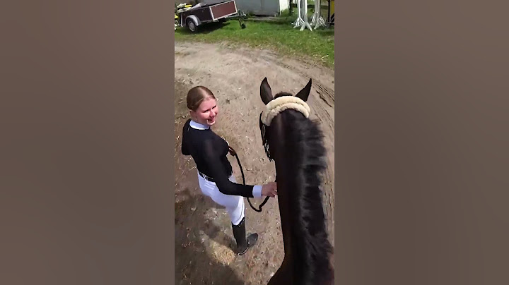 Monte reitet Pferd live im Stream😂🐴 #montanablack #shorts