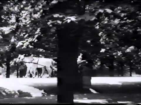 Joseph Schmidt, movie "Heut' ist der schönste Tag in meinem Leben"" 1936 footage.