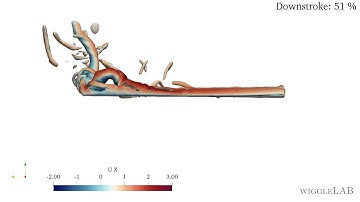 OpenFOAM Flapping Wing - Frontview
