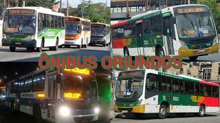 Ônibus Da Viação Nossa Senhora De Lourdes Oriundos De Outras Empresas