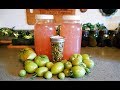 Peach Vinegar and Preserving Green Tomatoes