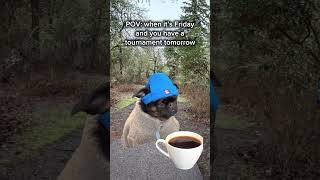 Just saying no work is getting done 😂 #discgolf #discgolfcourse #discraft #pdga