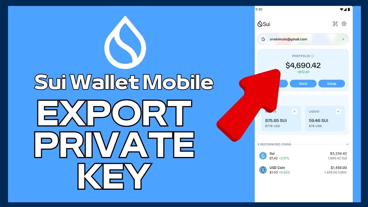 How to Export Private Key in Sui Wallet App 2024? - YouTube