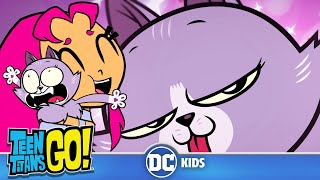 Teen Titans Go! | The Funniest Animals Moments from Teen Titans Go! | @dckids