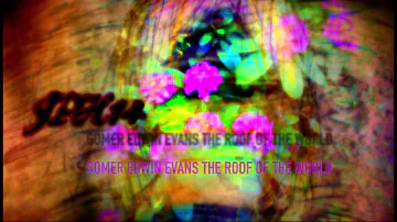 GOMER EDWIN EVANS - THE ROOF OF THE WORLD