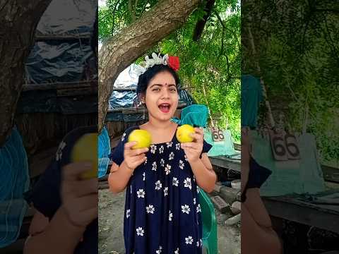 طعام صحي مقابل حلوى تشوبا تشوبس مضحك قصير