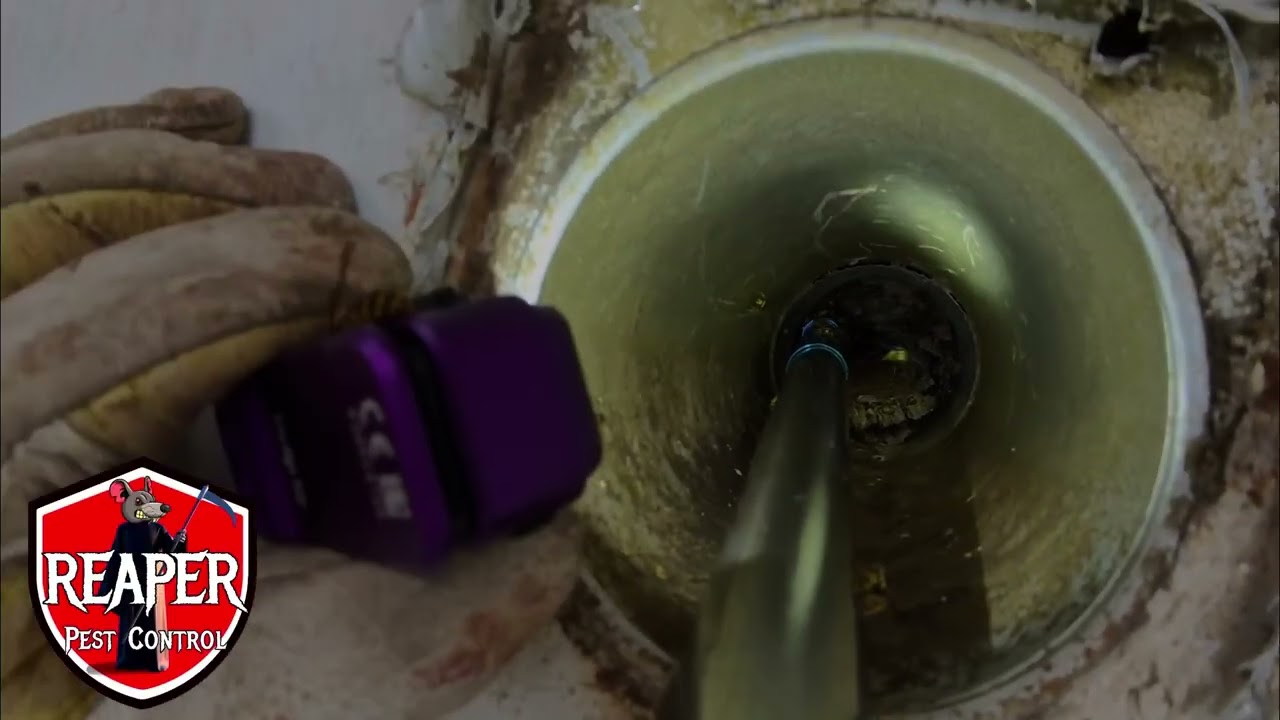 Wasp Nest Removal Blocking Oven Exhaust Pipe Fire Hazard! Reaper Pest Control Newington CT 