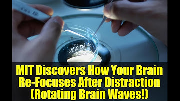MIT Discovers How Your Brain Re-Focuses After Distraction (Rotating Brain Waves!)