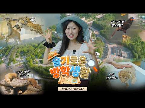 From Giraffes to White-naped Cranes! Night at the Museum🦒 l Smart Vacation Life EP. 2
