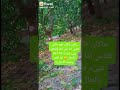 سعدون جابر على الله ياابن ادم على الله سعدون جابر على الله ياابن ادم على الله