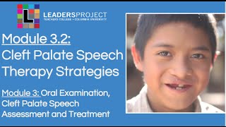 Module 3.2- Cleft Palate Speech and Feeding: Cleft Palate Speech Therapy Strategies screenshot 5