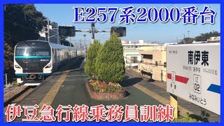 【踊り子置き換え】E257系2000番台伊豆急行線乗務員訓練！下田駅では珍幕も(一部修正)