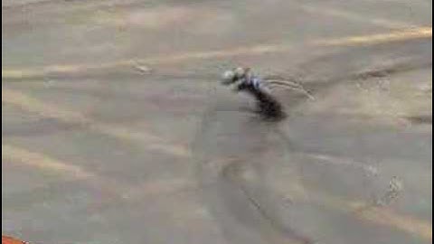 Team Associated RC18T Mamba Speed Runs FAST!!!!