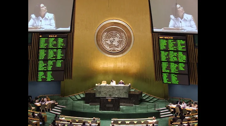 Jennifer Preston - How the UN Declaration on the Rights of Indigenous Peoples came to be