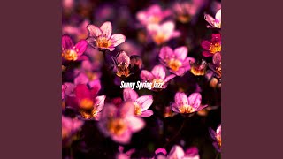 Simplistic Moods for Momentum Reflection
