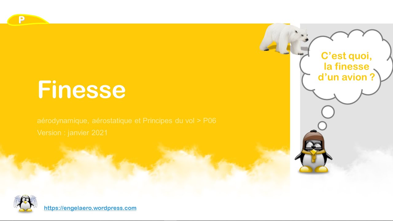 🛫Finesse (BIA, Principes du vol🎈06)