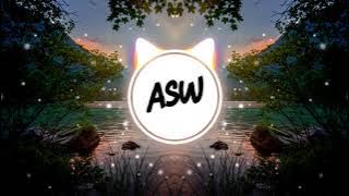Asw Remix-Exception To (feat. Cristina Lizzul)