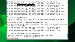 IPv6 on SUSE 11 and XP