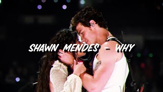 Shawn Mendes - Why {from IGTV}