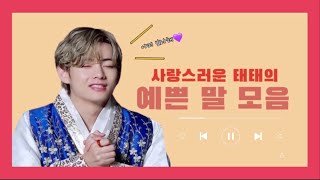 [BTS/V] 방탄소년단 뷔의 예쁜말 모음 zip🐻💫