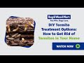 Options de traitement des termites diy comment se dbarrasser des termites dans votre maison