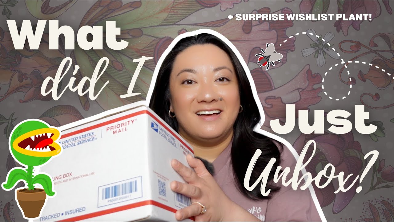 Carnivorous Plant Haul UNBOXING 🌱 + Surprise Wishlist Plant Reveal & Thrifted Pot Finds!