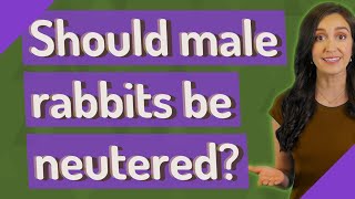 Should male rabbits be neutered?