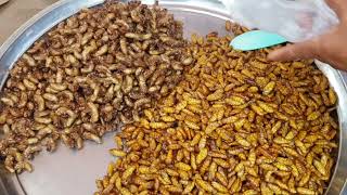 Deep-fried Edible Insects