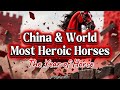 Ten Most Outstanding and Heroic Horses in China & World
