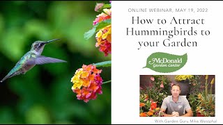 How to Attract Hummingbirds to Your Garden