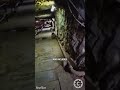 Inside WWII’s Hidden Fortress in Gibraltar