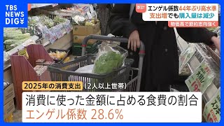エンゲル係数44年ぶり高水準28.6％　2025年消費支出　食料品の値上げ相次ぎ外食の支出増｜TBS NEWS DIG