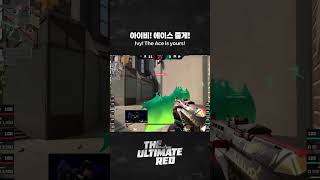 아이비! 에이스 줄게!