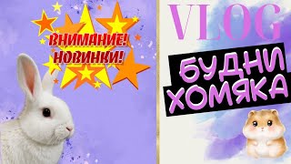 : Vlog:   51 -      # 