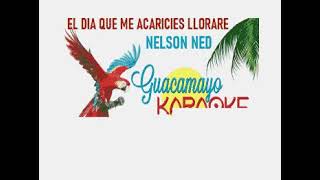 NELSON NED - EL DIA QUE ME ACARICIES LLORARE - KARAOKE