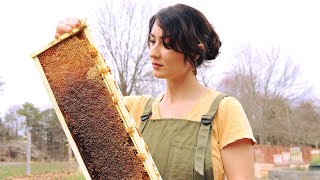 The Importance of Honey Bees! (HOA How to Grow Your Own Food Series!!)