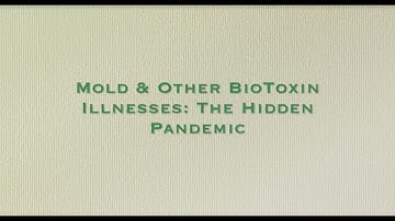 Pt 1 - Dr. Sonia Rapaport, Chronic Pathologies, Belgium 