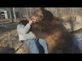 Bear hug: Man befriends giant brown bear in US rescue centre