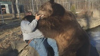 Bear hug: Man befriends giant brown bear in US rescue centre