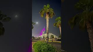 Stunning Jumeirah Hotel Night View 🌃 | Mesmerizing Dubai Nights Travel Vlog ✨
